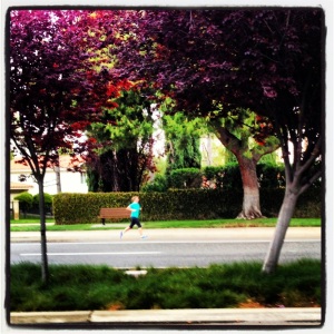 Running in SoCal. In April. In a t-shirt. 